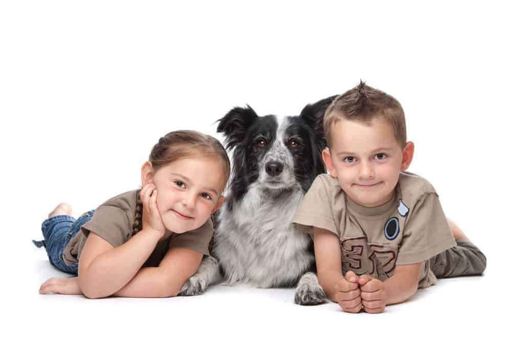 Photo of children side by side with a dog border collie looking very friendly to each other