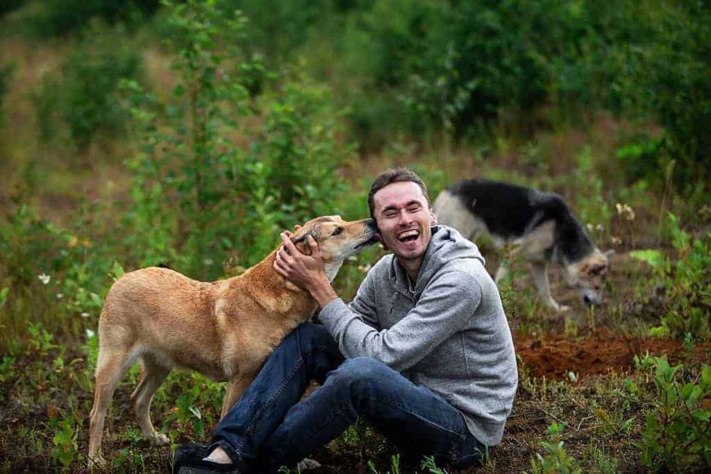 Why Do Dogs Lick Your Ears? Photo of a dog licking his owners ears