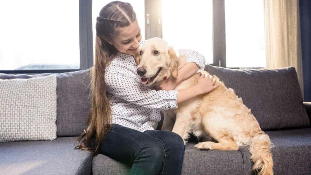 Photo of a dog being clingy on the couch with its owner