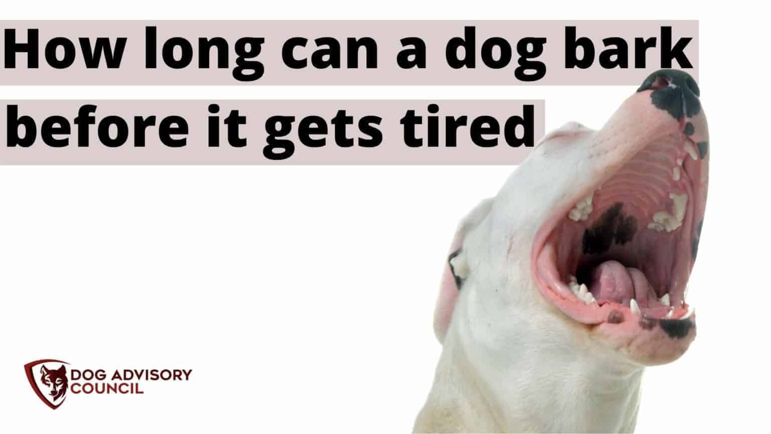 How Long Can A Dog Bark Before It Gets Tired (How To Stop It) Dog Advisory Council