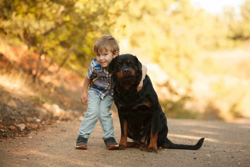 Child hugging his Rottweiler friend.