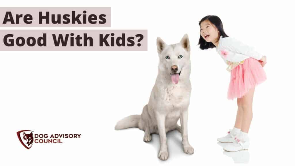 Are Huskies Good With Kids? Photo of a girl with a husky dog.