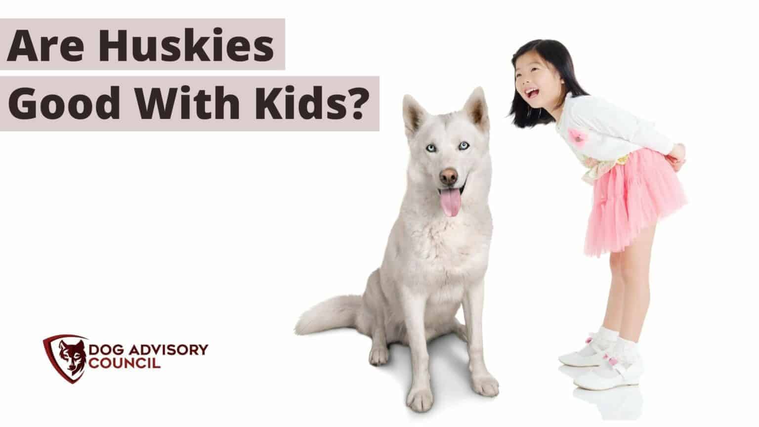 Are Huskies Good With Kids? (Infants and Babies) Dog Advisory Council