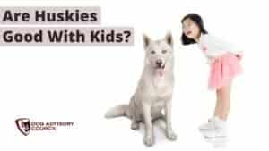 Are Huskies Good With Kids