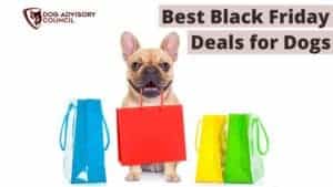 Black Friday Deals for Dogs