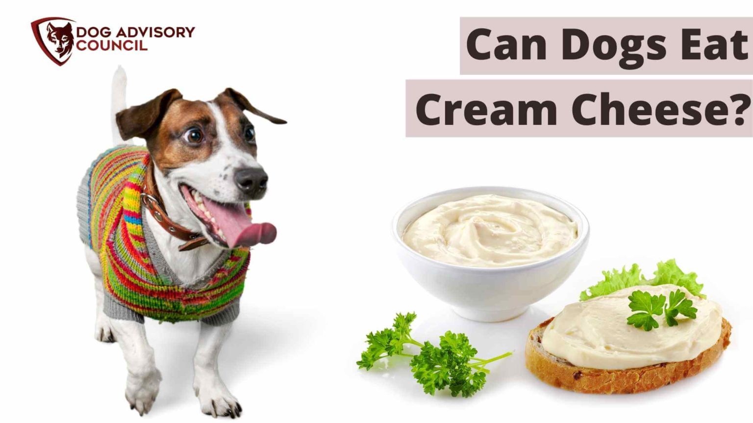 Can Dogs Eat Cream Cheese? Will They Get Sick? (Explained) Dog Advisory Council