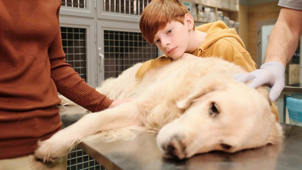 Photo of a kid comforting his dying dog.