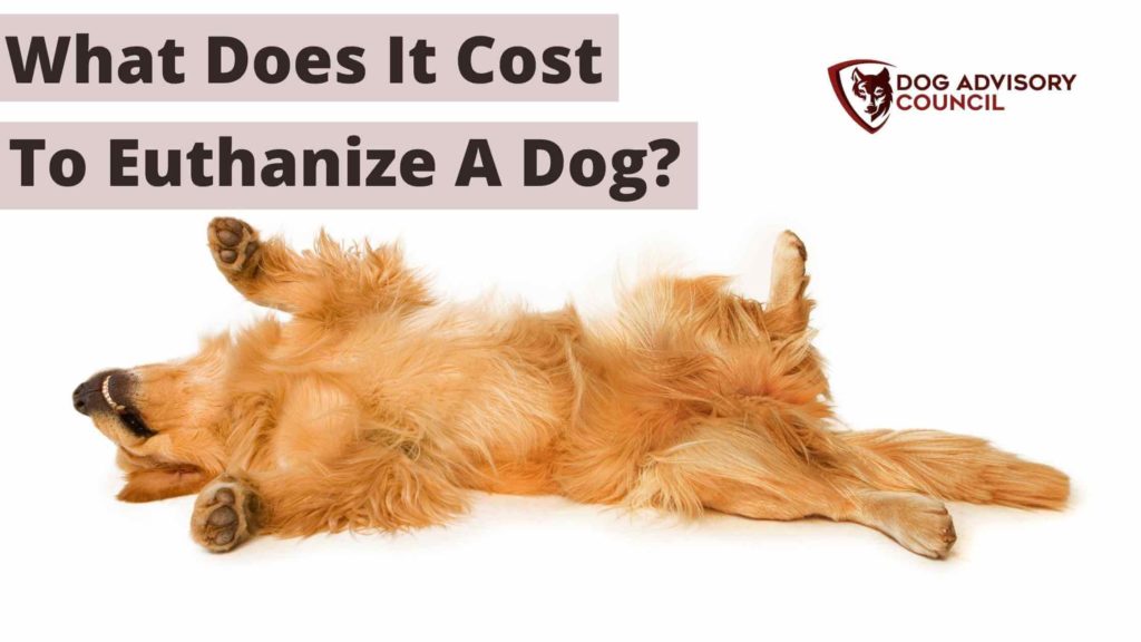 What Does It Cost To Euthanize A Dog? Photo of a dog laying down looking like it was euthanized. 