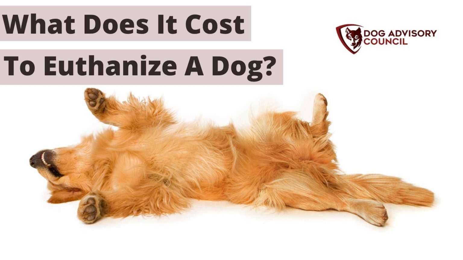 What does it cost to euthanize a dog explained dog advisory council