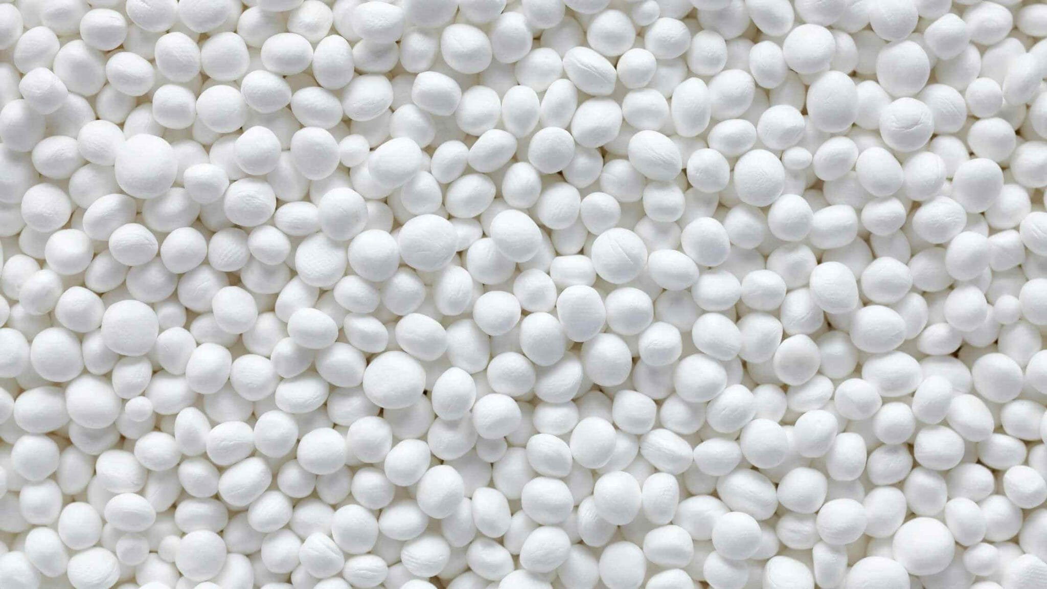 Dog Ate Styrofoam Balls at Travis Farley blog