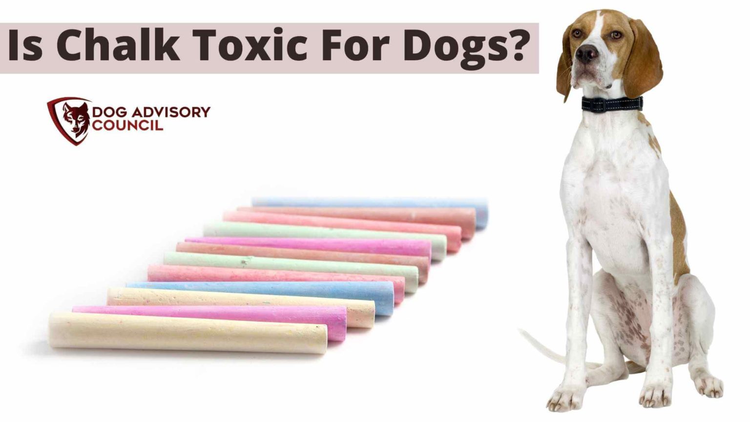 Is Chalk Toxic To Dogs? (Explained) Dog Advisory Council