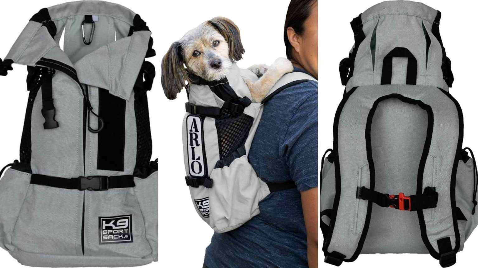 Best dog backpack carriers in 2024