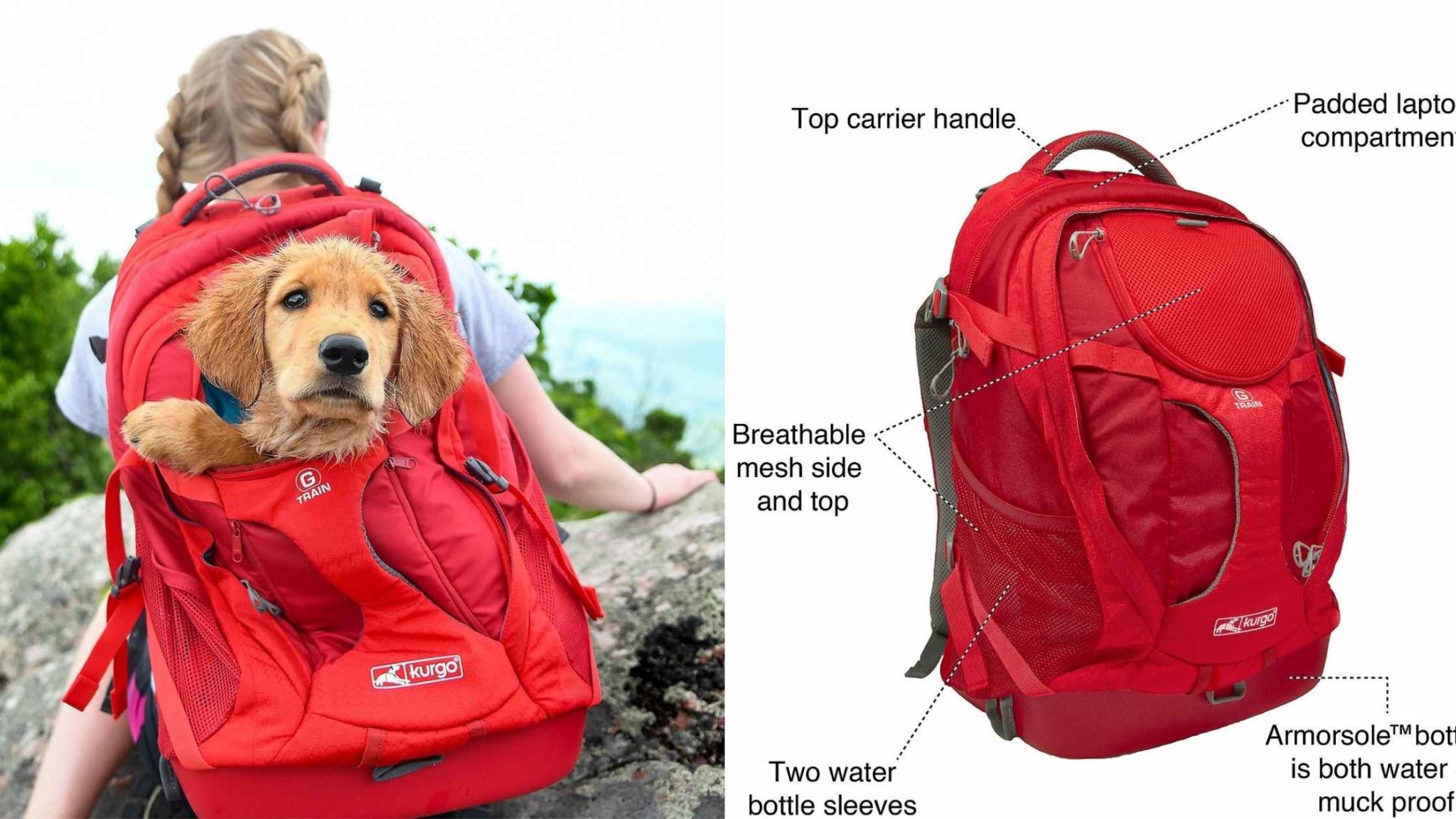 Best dog backpack carriers in 2024