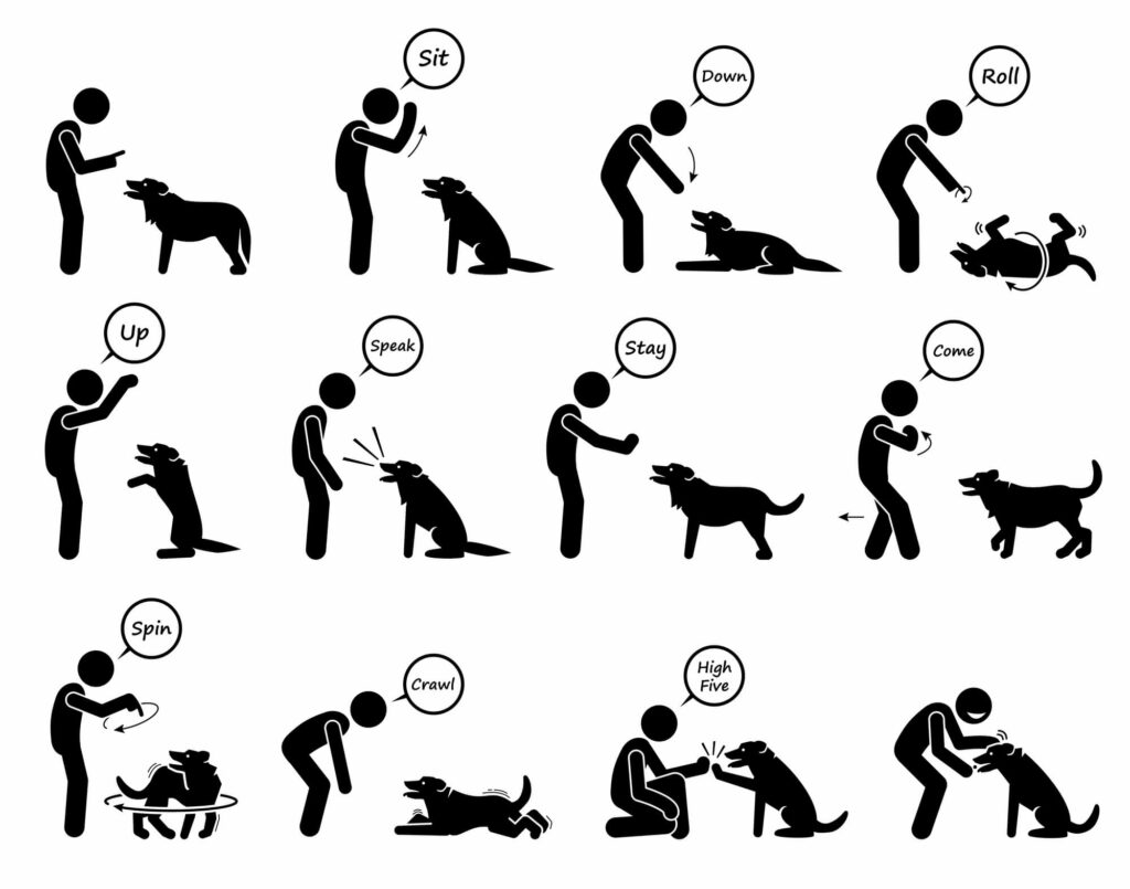 deaf dog hand signals