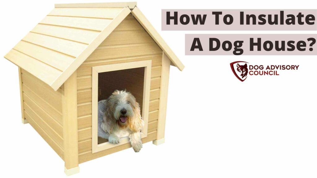 Photo of a dog inside his yellow house. How to Insulate a Dog House?