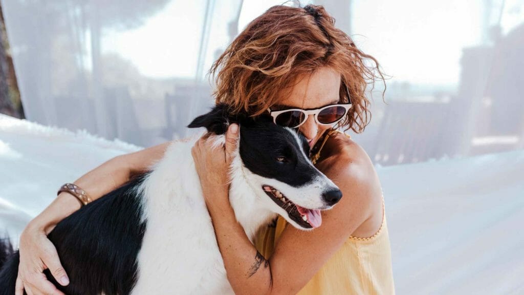 Are Border Collies Affectionate? Photo of an owner hugging her Border Collie.