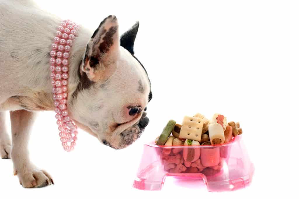 How Much to Feed a French Bulldog