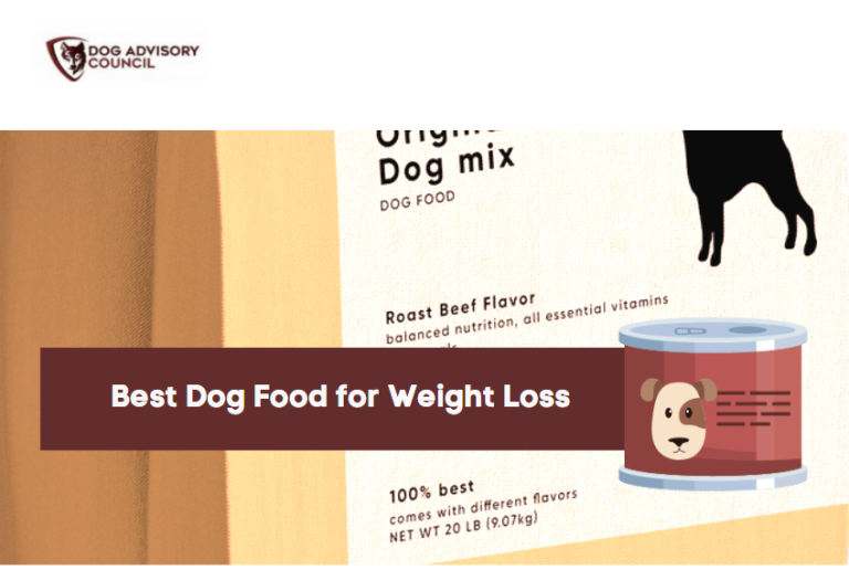 Dog Advisory Council Your Resource to Know All About Dogs