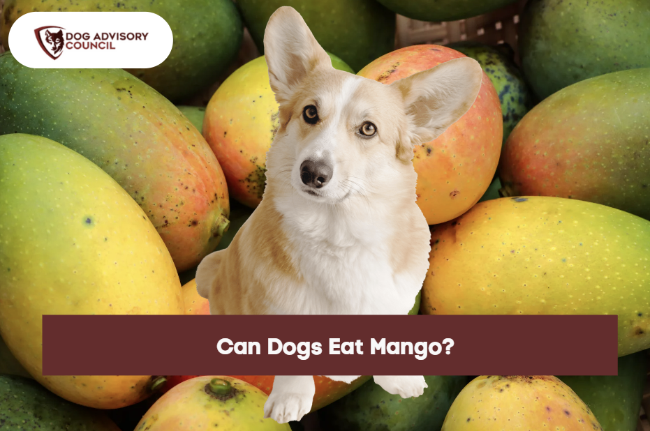 Can Dogs Eat Mango? Is Mango Safe for Dogs? Dog Advisory Council