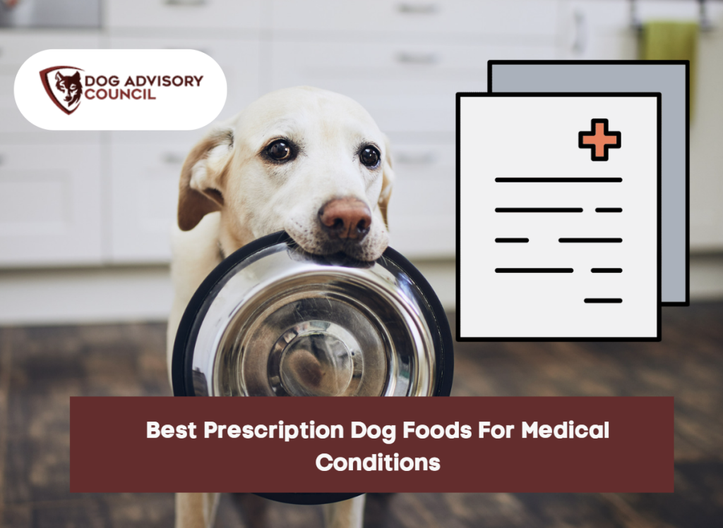 Best Prescription Dog Foods For Medical Conditions Dog Advisory Council