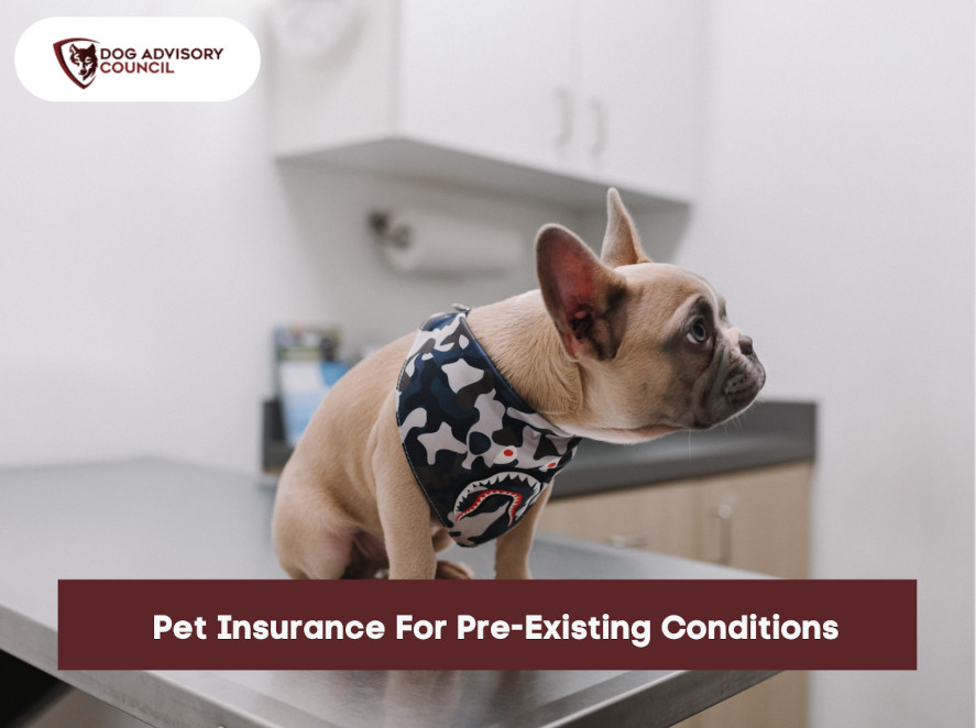Pet Insurance For Pre Existing Conditions Dog Advisory Council