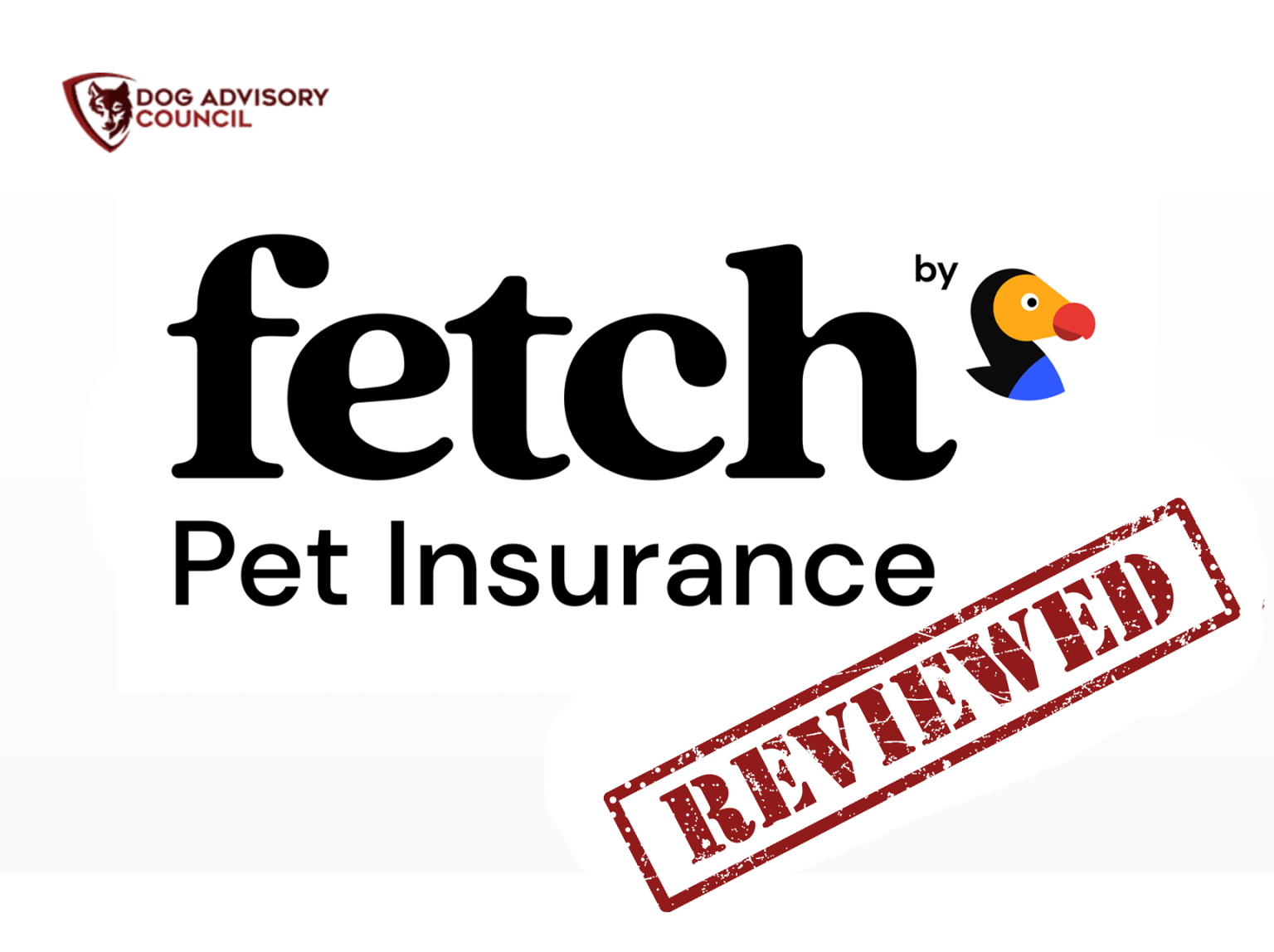 Fetch By The Dodo Pet Insurance Review Dog Advisory Council
