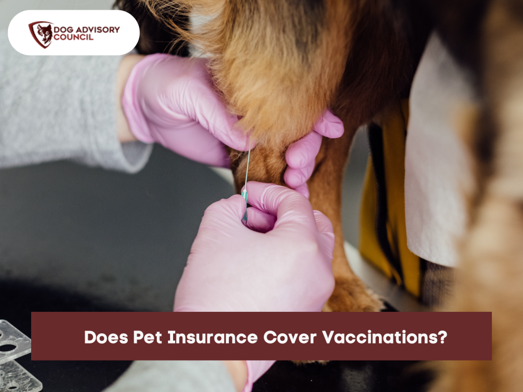 pet-insurance-vaccinations