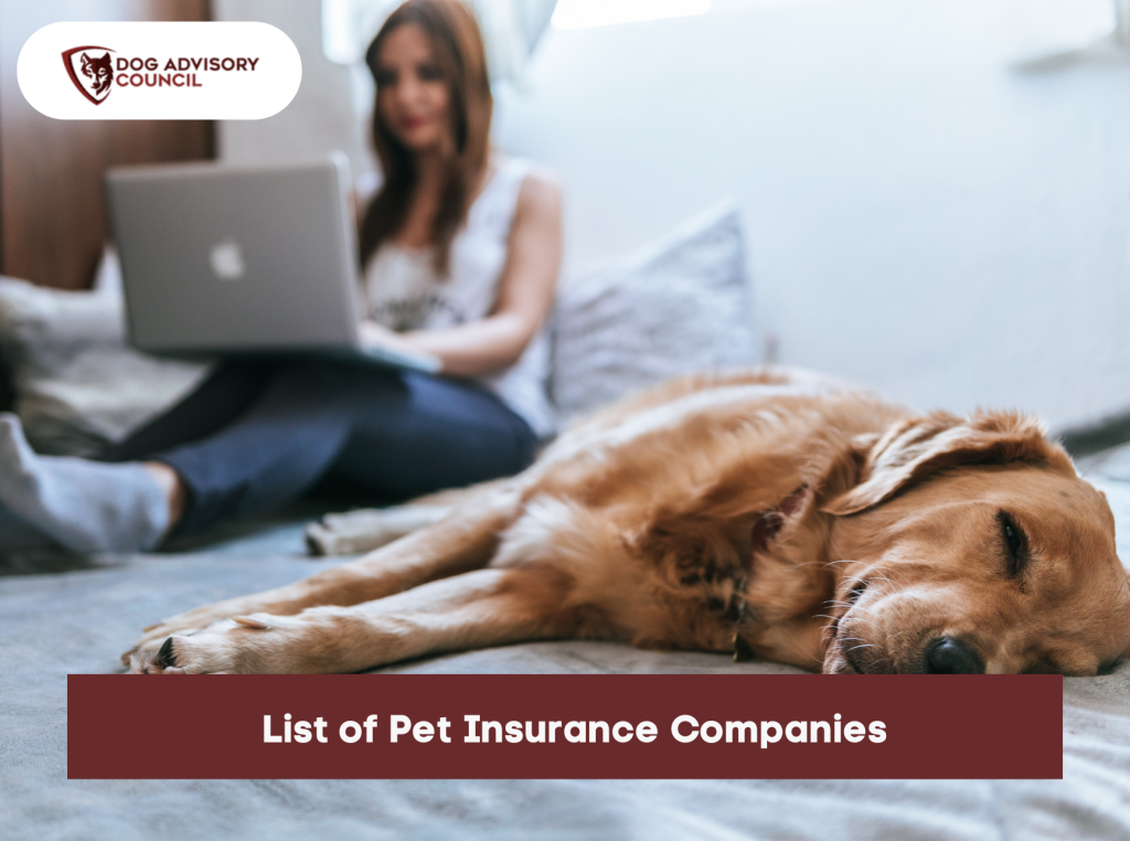 Pet Insurance Dog Advisory Council