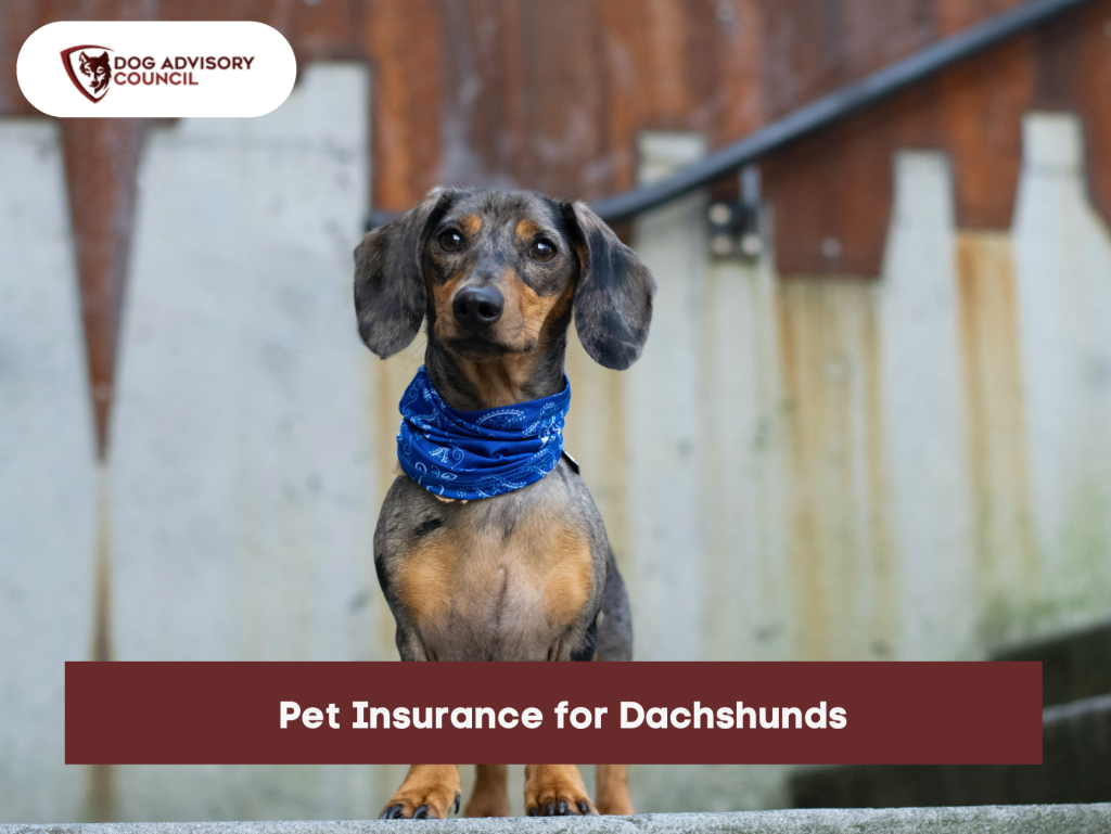 Dog Advisory Council Your Resource to Know All About Dogs